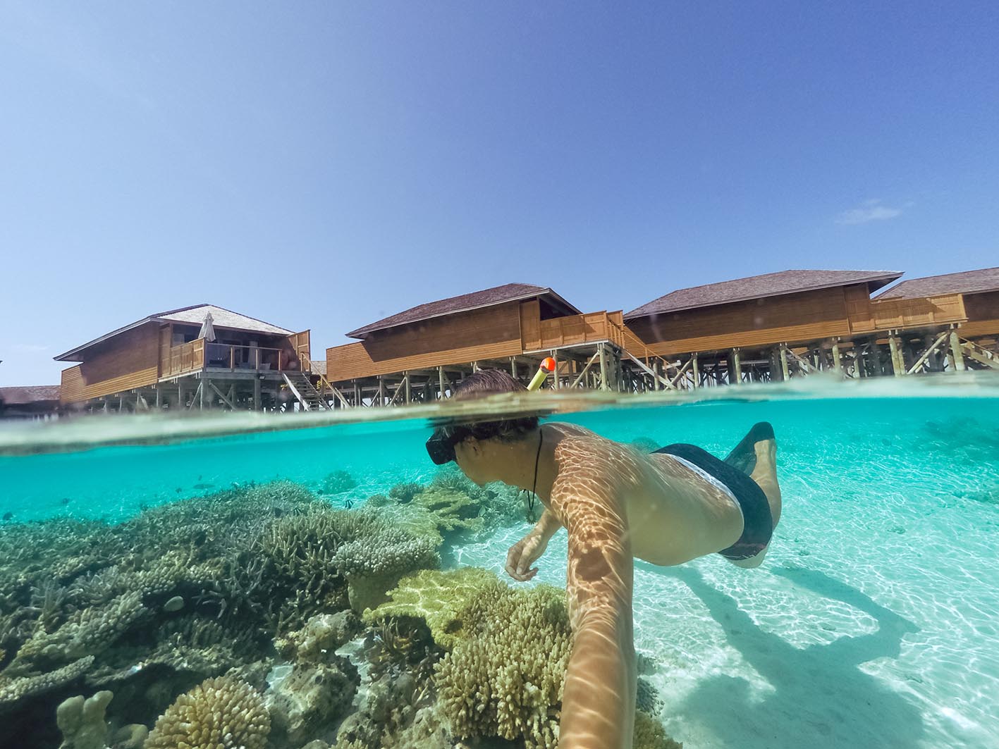 deep swimming tube maldives animal